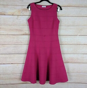 Calvin Klein Women Size 4 Fit &Flare Dress Hot Pink Stretchy Side Zip No Sleeve